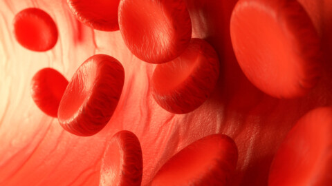 Blood Cells